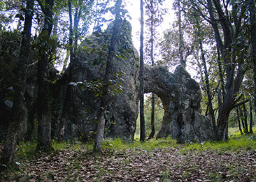 hotelesycabañasensanmiguelregla