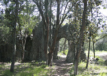 hoteles-y-cabañas-en-san-miguel-regla--